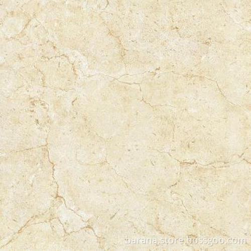 Polished Tiles (JA60111S)